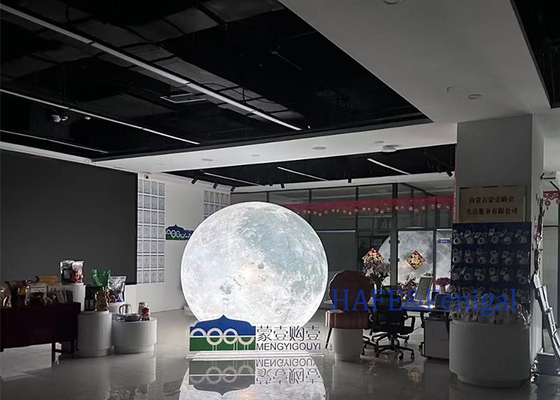 Fully Printed Moon 2m 3m White / RGB LED Decorative Atmosphere Balloon Light